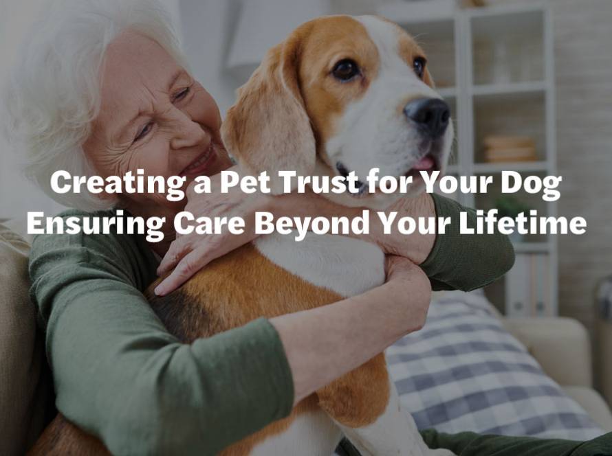 Creating a Pet Trust for Your Dog Ensuring Care Beyond Your Lifetime