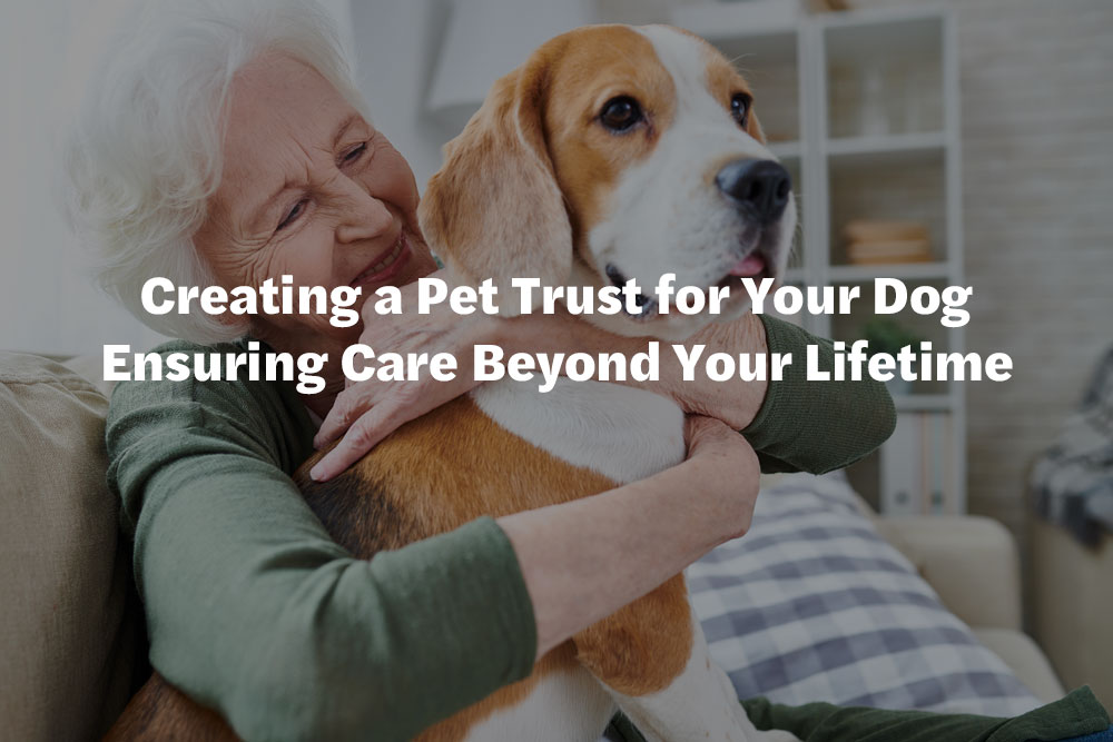 Creating a Pet Trust for Your Dog Ensuring Care Beyond Your Lifetime