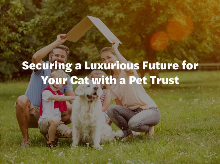 Securing a Luxurious Future for Your Cat with a Pet Trust