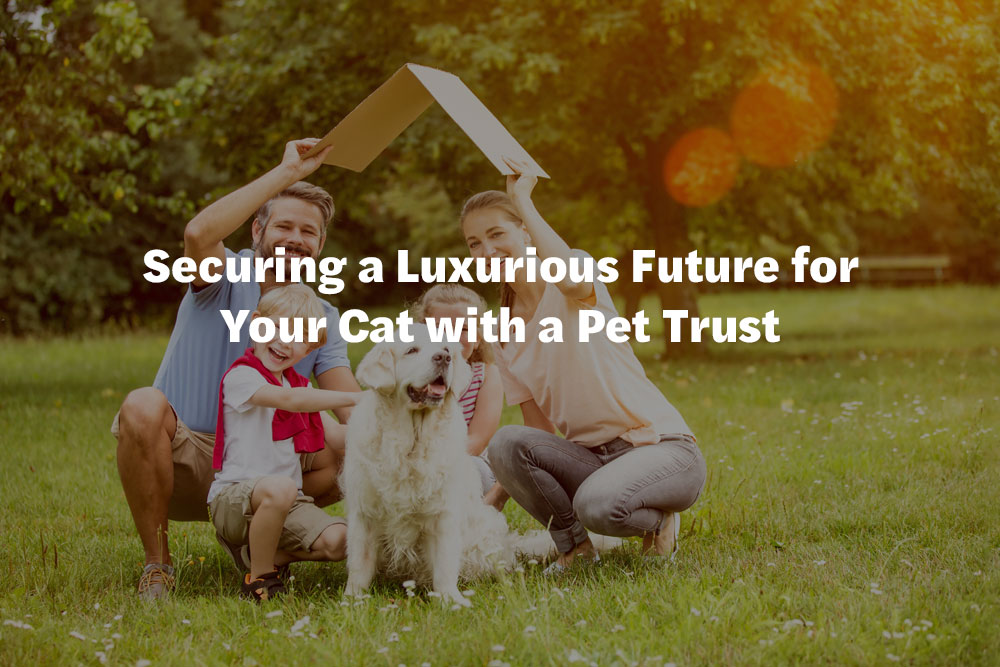 Securing a Luxurious Future for Your Cat with a Pet Trust