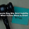 California Dog Bite Strict Liability Law: What Victims Need to Know
